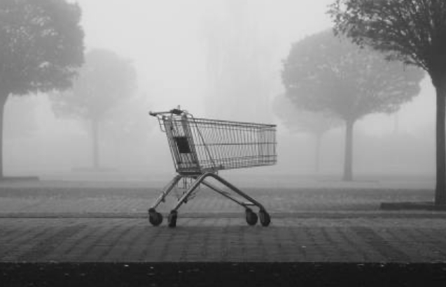 Luxury retail interior with ornate ceiling
